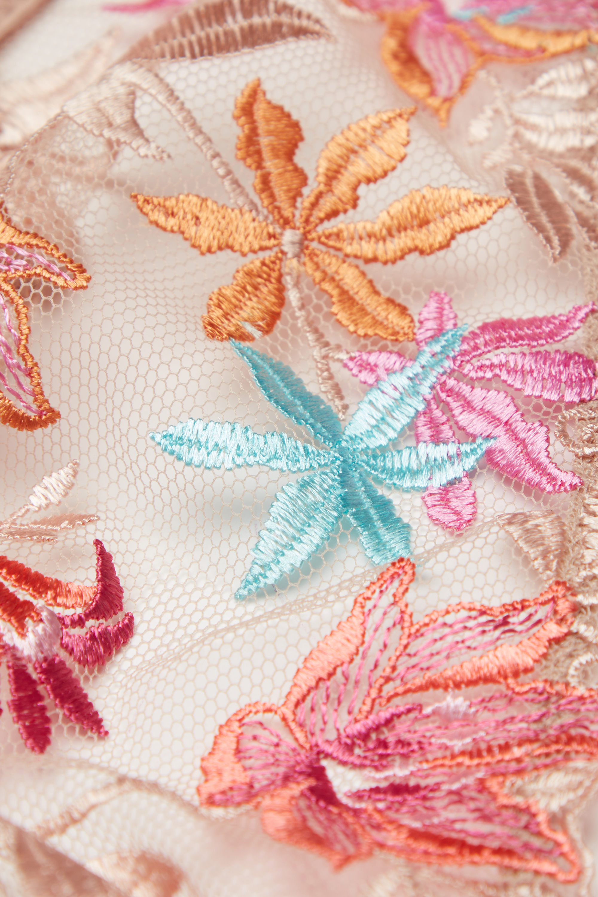 Here Comes The Sun トライアングルブラ