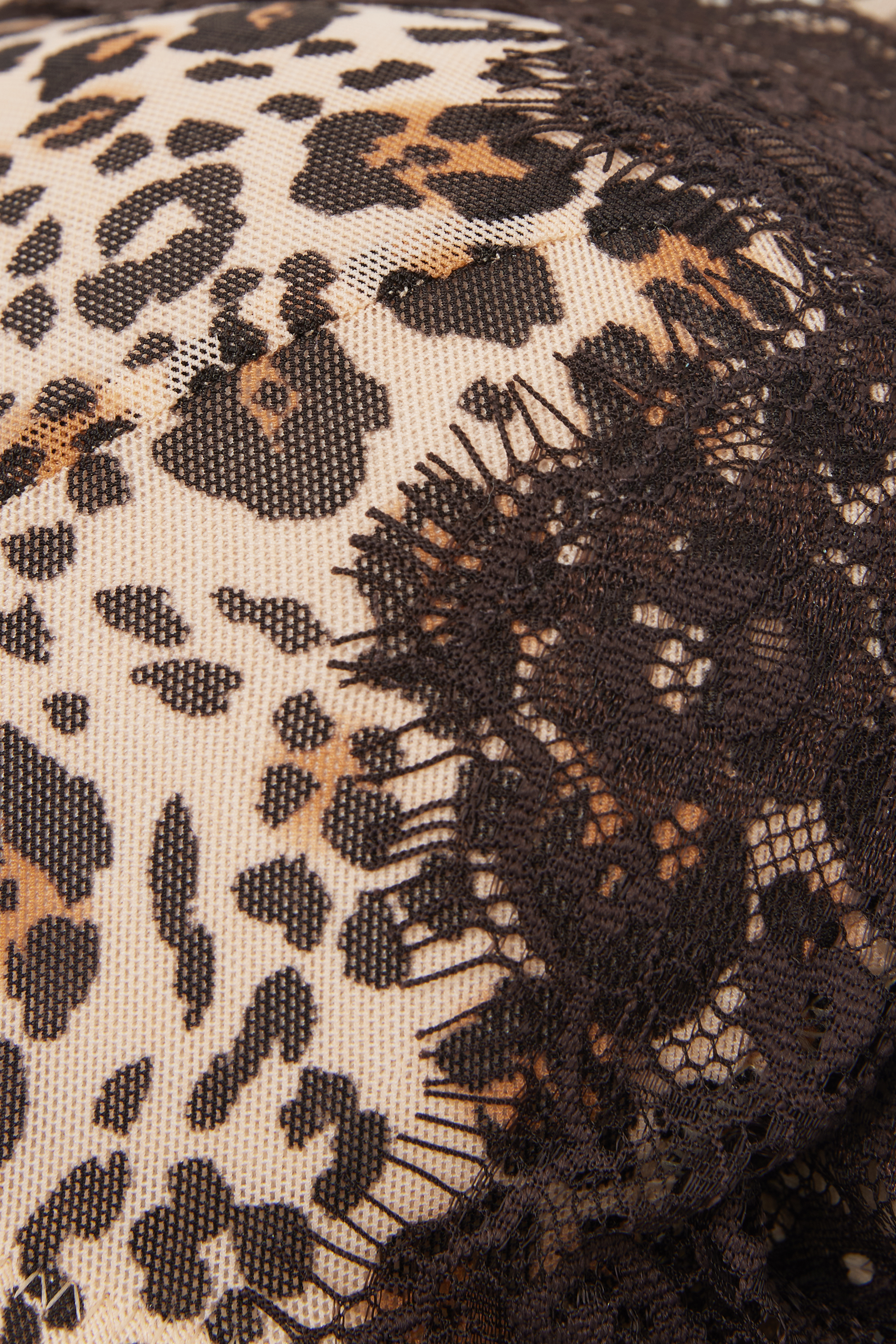 "Simply Iconic" アニマル Monica プッシュアップブラ