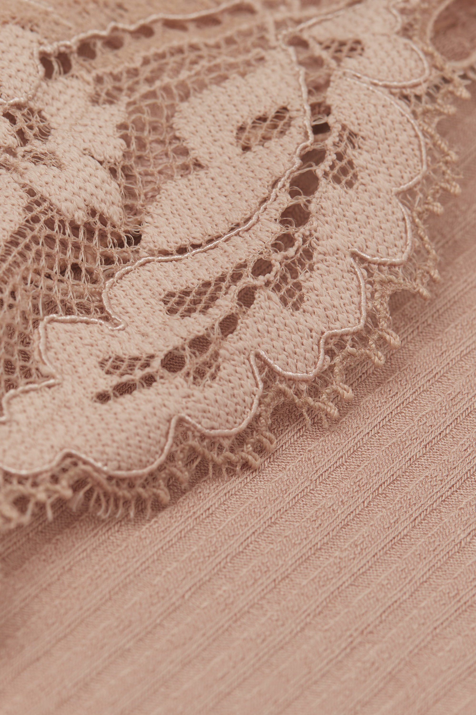 Your Everyday Wear ショーツ