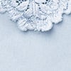 Pretty Flowers シームレス コットン ショーツ